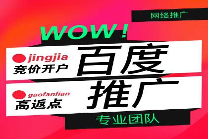 某金融APP的信息流广告投放策略与效果评估
